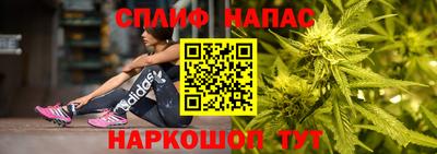 spice Будённовск